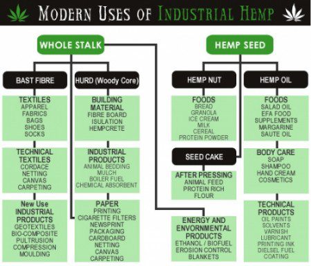 Modern Uses of Hemp Cannabis (Marijuana)