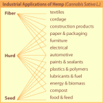 Industrial Applications of Hemp Cannabis means jobs