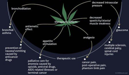 Theraputic Effects of Cannabis