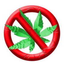 Wisconsin Republicans Endorse Marijuana Black Market