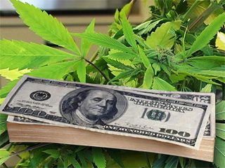 Marijuana as an option for investors