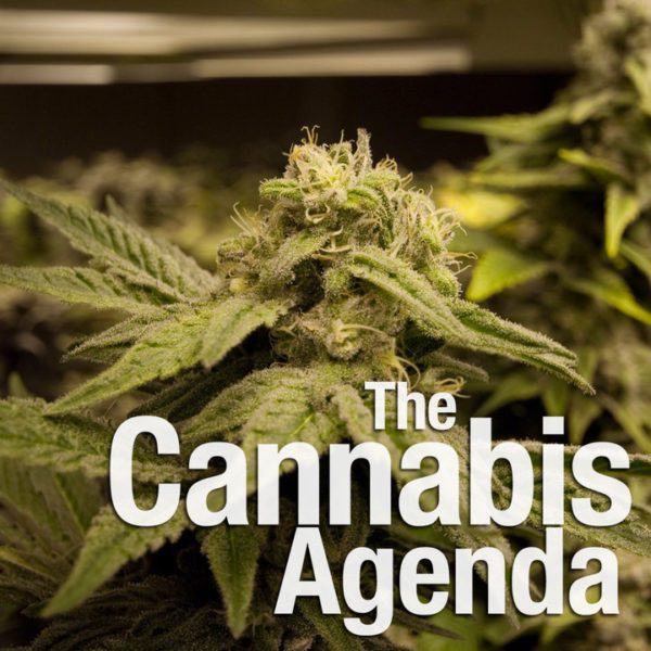 Wisconsin State Assembly and a Cannabis Agenda
