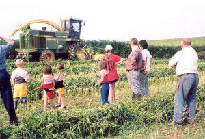 Farming Hemp with family Farming Hemp with family