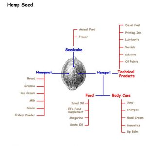 Hemp Seed with chart of uses