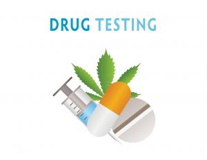 Drug / THC Testing