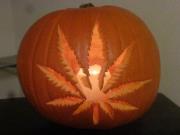 Misinformation about marijuana in Halloween candy
